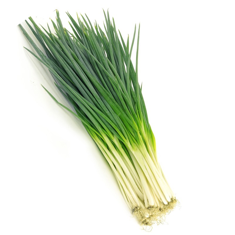 Hanh La / Green onion Case