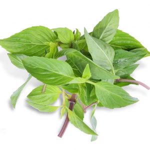 Rau Que Case / Basil Case