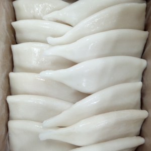 Squid U5 Case/ Muc U5 Case/