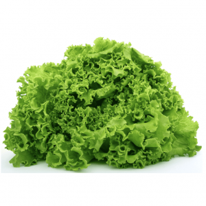 Salad La / Green Leaf