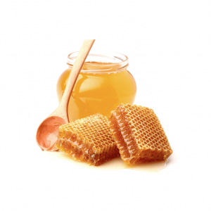 WildFlower Honey (6 bottles x 5lbs)