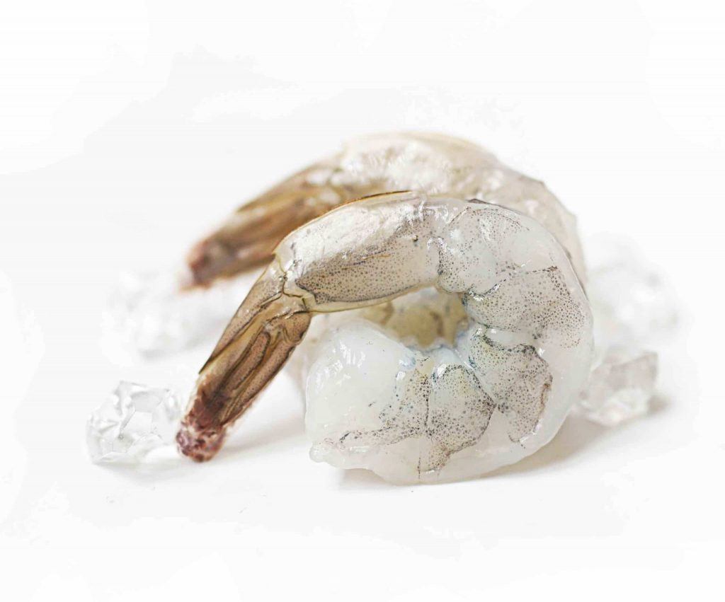Shrimp