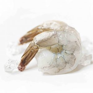 Shrimp